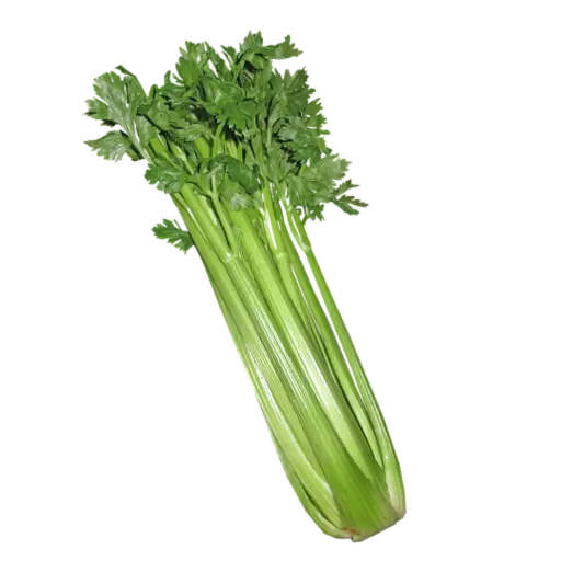 [2168465] Apio Pieza Completa