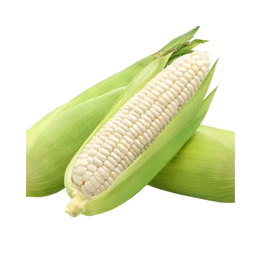 [2168485] Elote / Pz