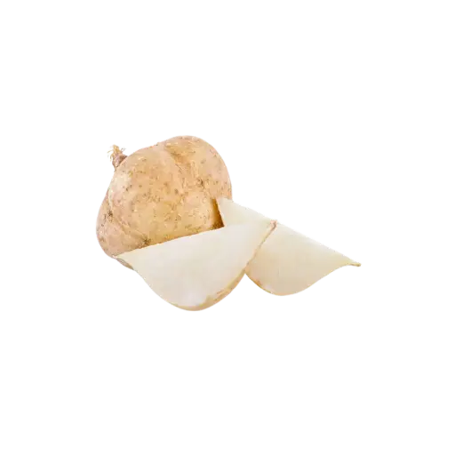 [2168492] Jicama / Pz