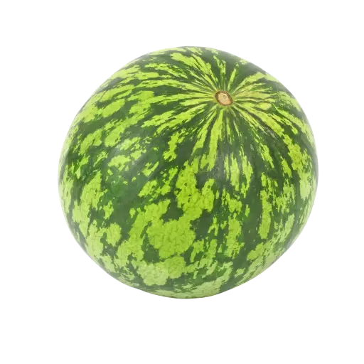 [2168518] Sandia Baby / Pz