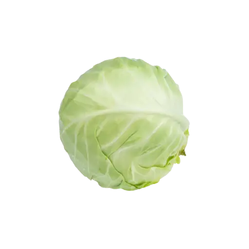 [2168544] Col o Repollo / Pz