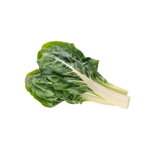 [2168556] Acelga / Mjo