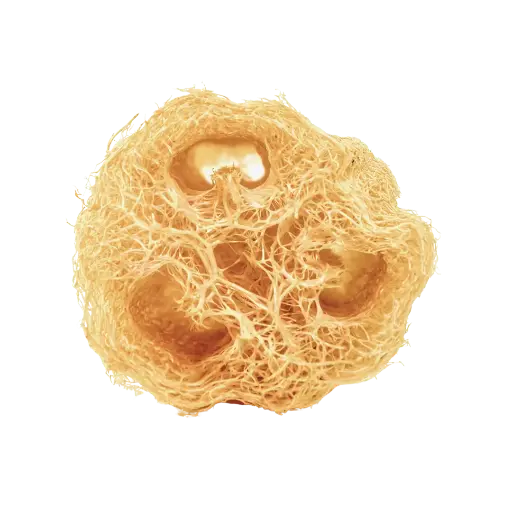 [2168191] Estropajo Natural Multiusos Luffa